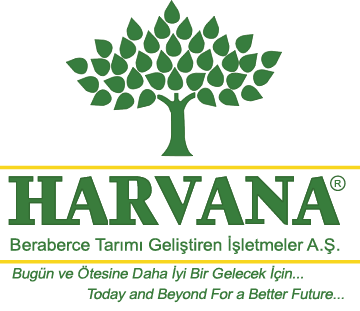 HARVANA